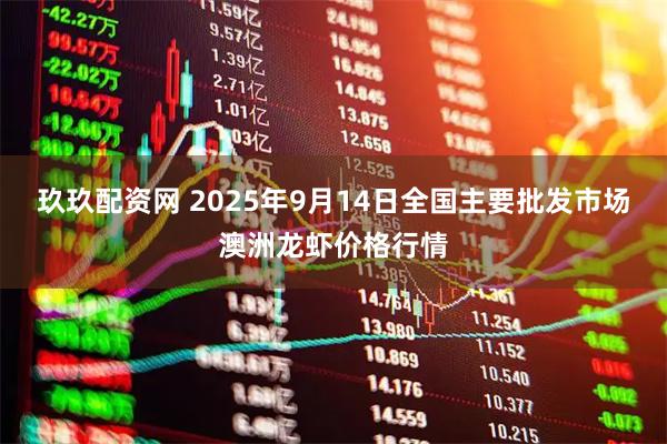 玖玖配资网 2025年9月14日全国主要批发市场澳洲龙虾价格行情