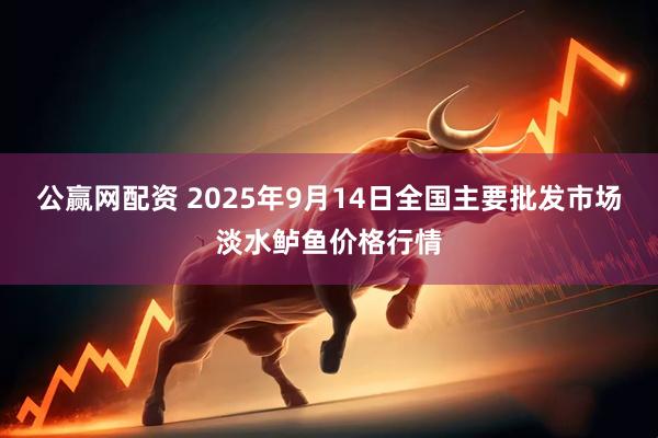 公赢网配资 2025年9月14日全国主要批发市场淡水鲈鱼价格行情