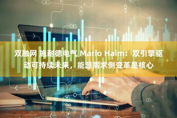 双融网 施耐德电气 Mario Haim：双引擎驱动可持续未来，能源需求侧变革是核心