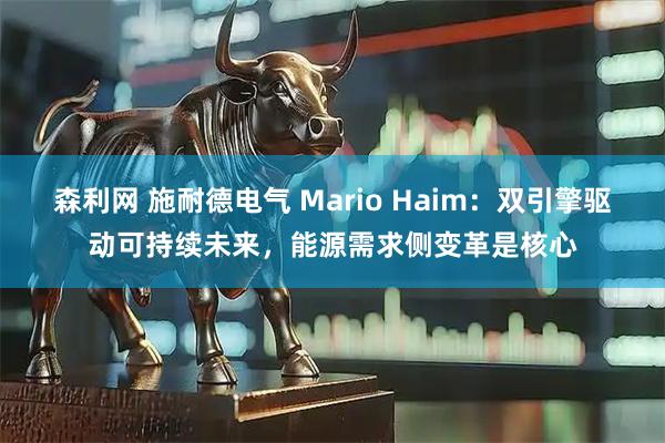 森利网 施耐德电气 Mario Haim：双引擎驱动可持续未来，能源需求侧变革是核心