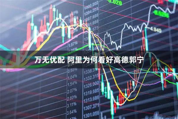 万无优配 阿里为何看好高德郭宁