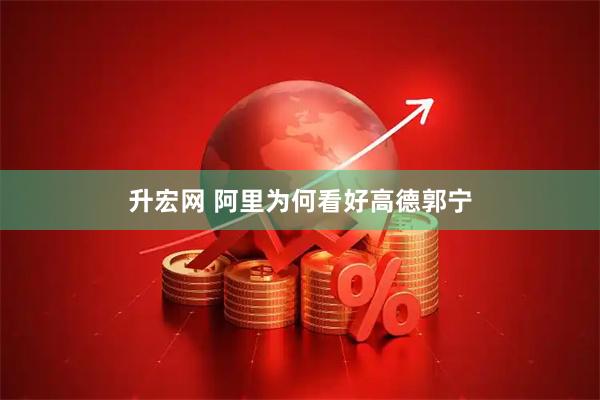 升宏网 阿里为何看好高德郭宁