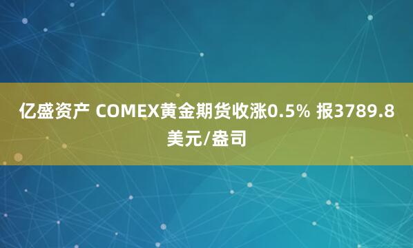 亿盛资产 COMEX黄金期货收涨0.5% 报3789.8美元/盎司