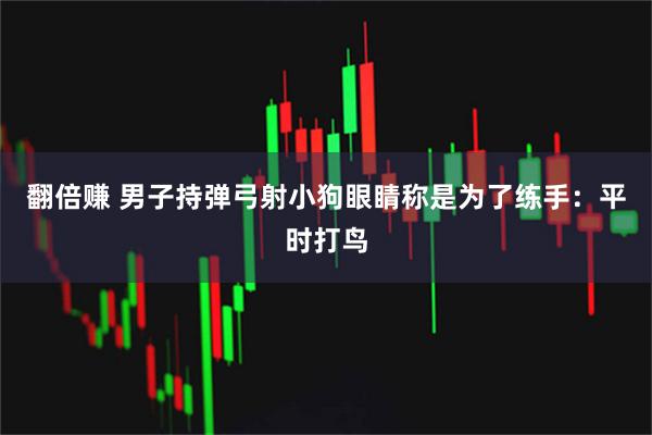 翻倍赚 男子持弹弓射小狗眼睛称是为了练手：平时打鸟