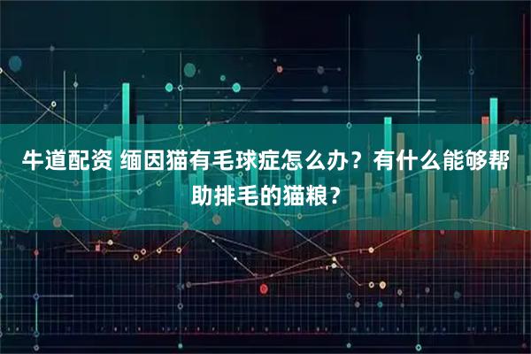 牛道配资 缅因猫有毛球症怎么办？有什么能够帮助排毛的猫粮？