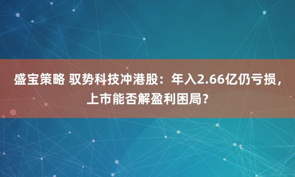 盛宝策略 驭势科技冲港股：年入2.66亿仍亏损，上市能否解盈利困局？